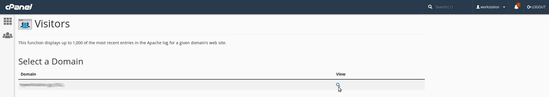 Verificare vizitatori pe domeniu cPanel